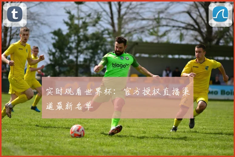 实时观看世界杯：官方授权直播渠道最新名单
