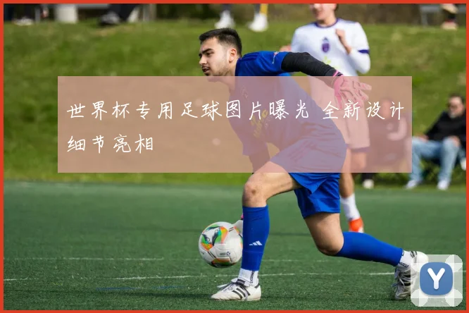 世界杯专用足球图片曝光 全新设计细节亮相