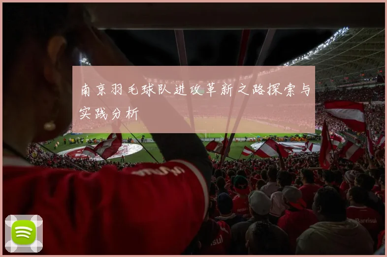 南京羽毛球队进攻革新之路探索与实践分析