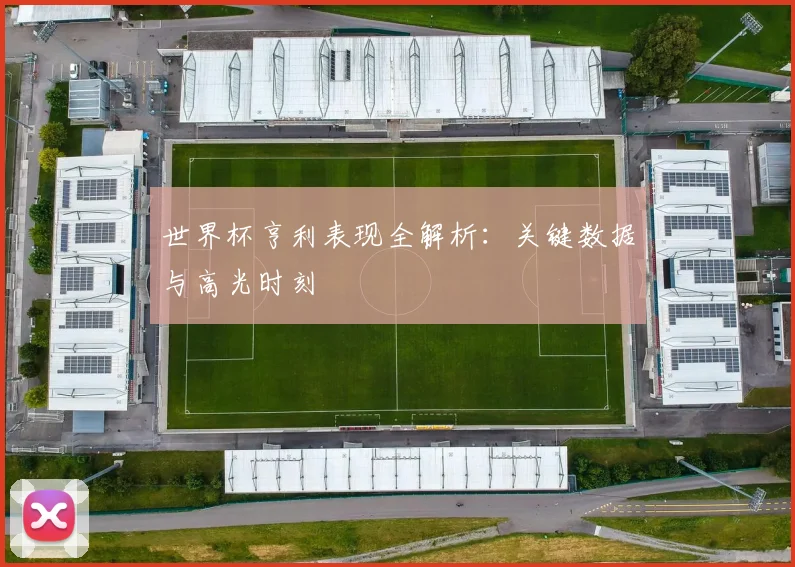 世界杯亨利表现全解析:关键数据与高光时刻