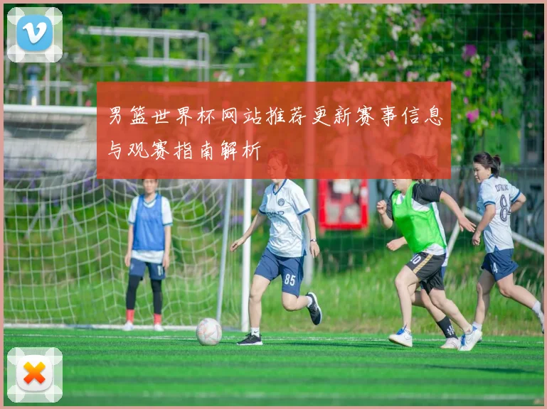 男篮世界杯网站推荐更新赛事信息与观赛指南解析